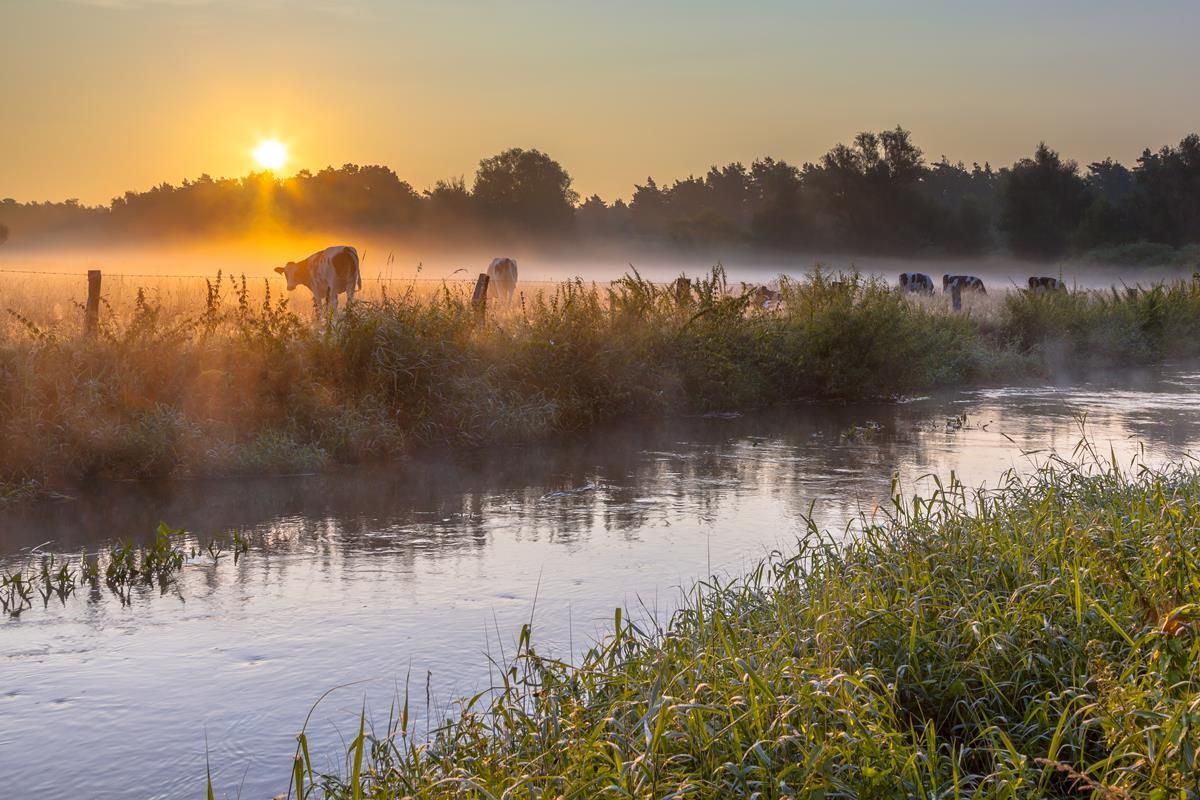 Farmer fined for effluent pollution of waterway