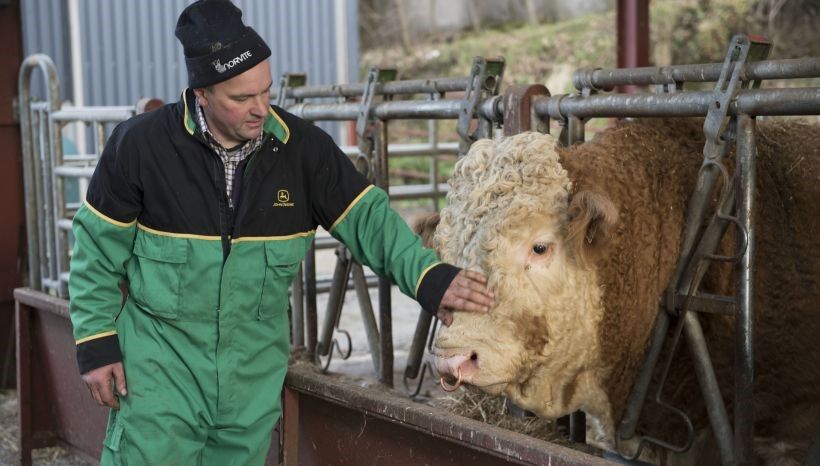 £4.5 million Crown Estate investment to support Scottish farm tenants