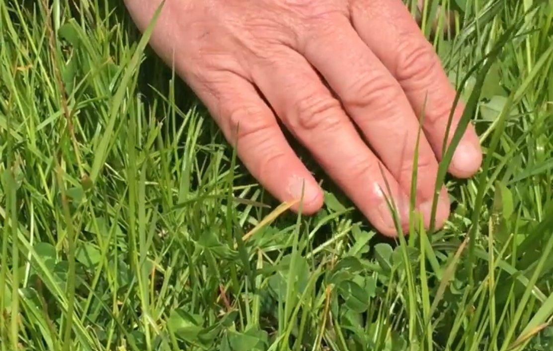 UK farmers urged not to miss out on 230% R&D tax credit
