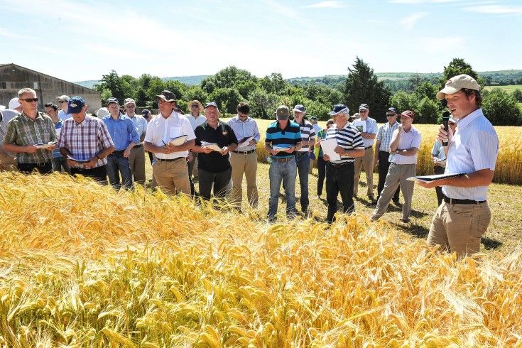 This year's seed crops "may exceed expectations"