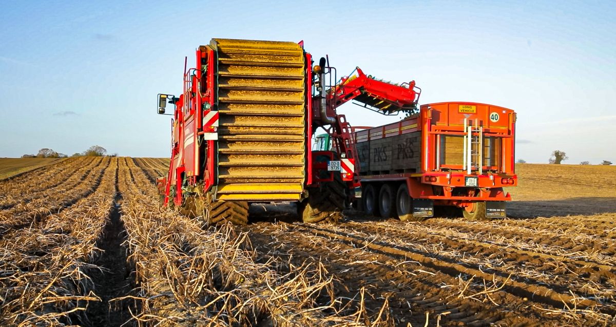 High-risk crops can lead to pollution and flooding - Environment Agency