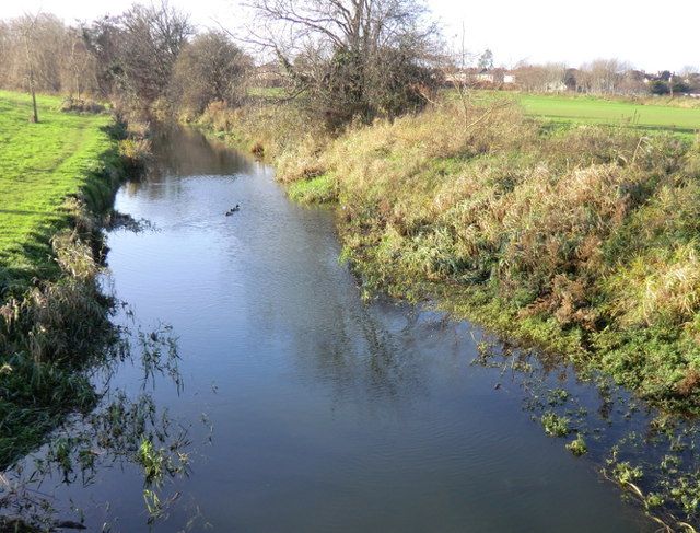 Construction company fined for waterway pollution
