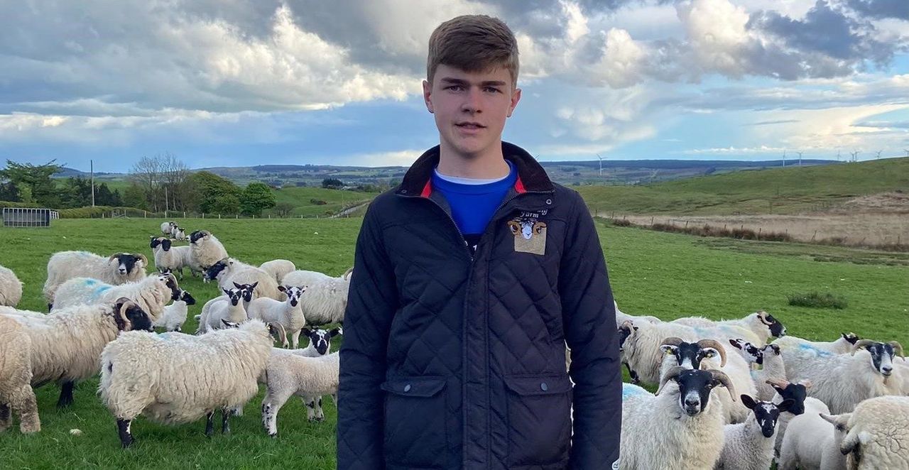 Ulster Wool announces winner of new development programme