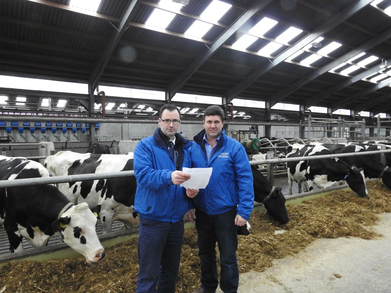CAFRE cows to welcome visitors on dairy open days