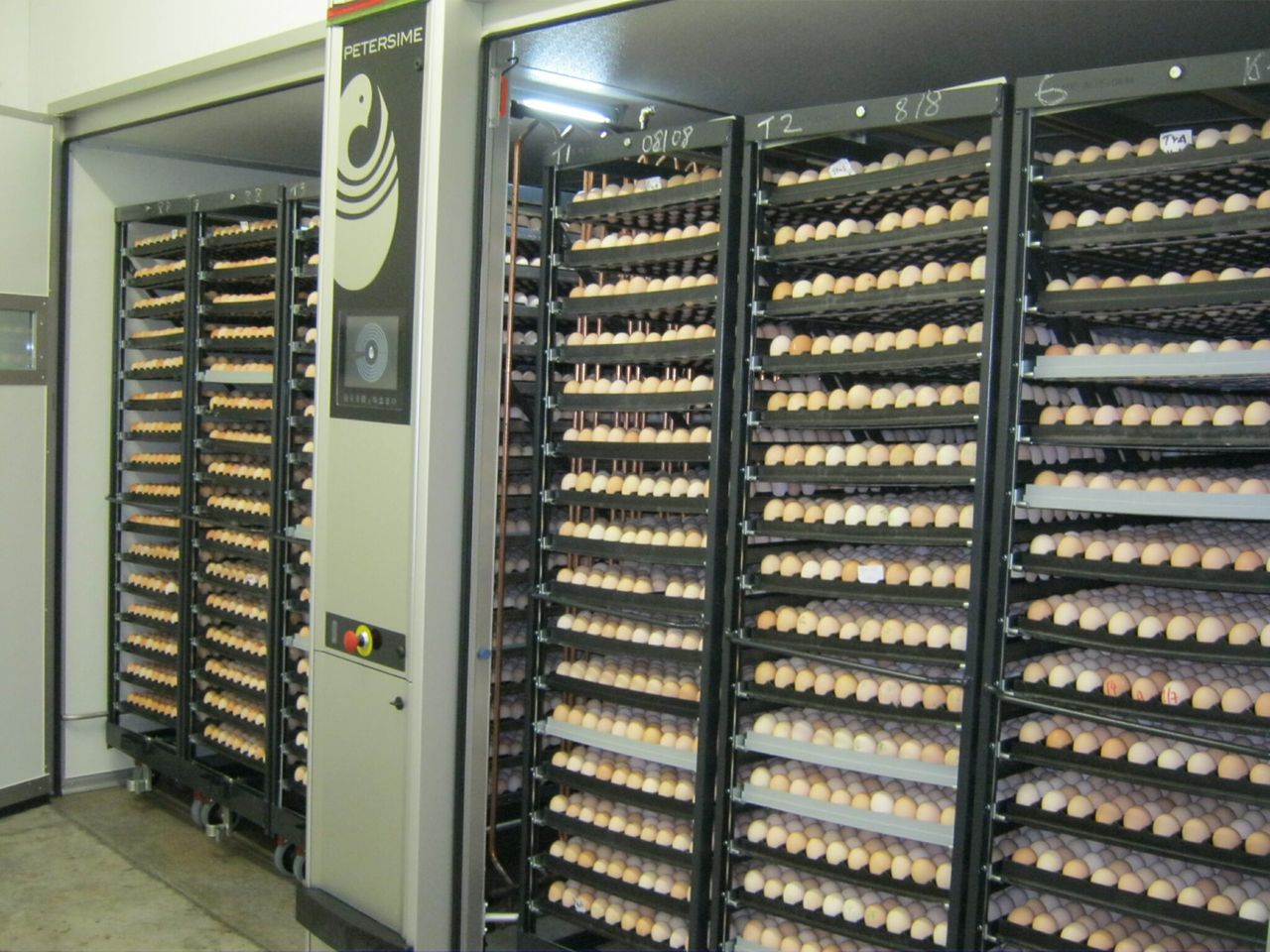 Moy Park invests £180,000 at Northern hatchery