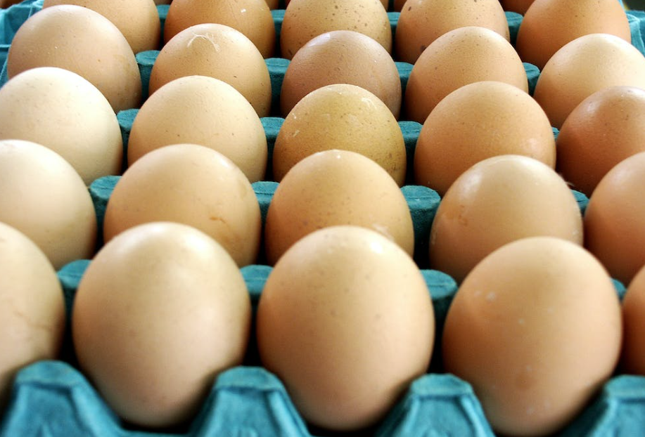 Free-range egg labels to be unchanged during bird flu housing orders