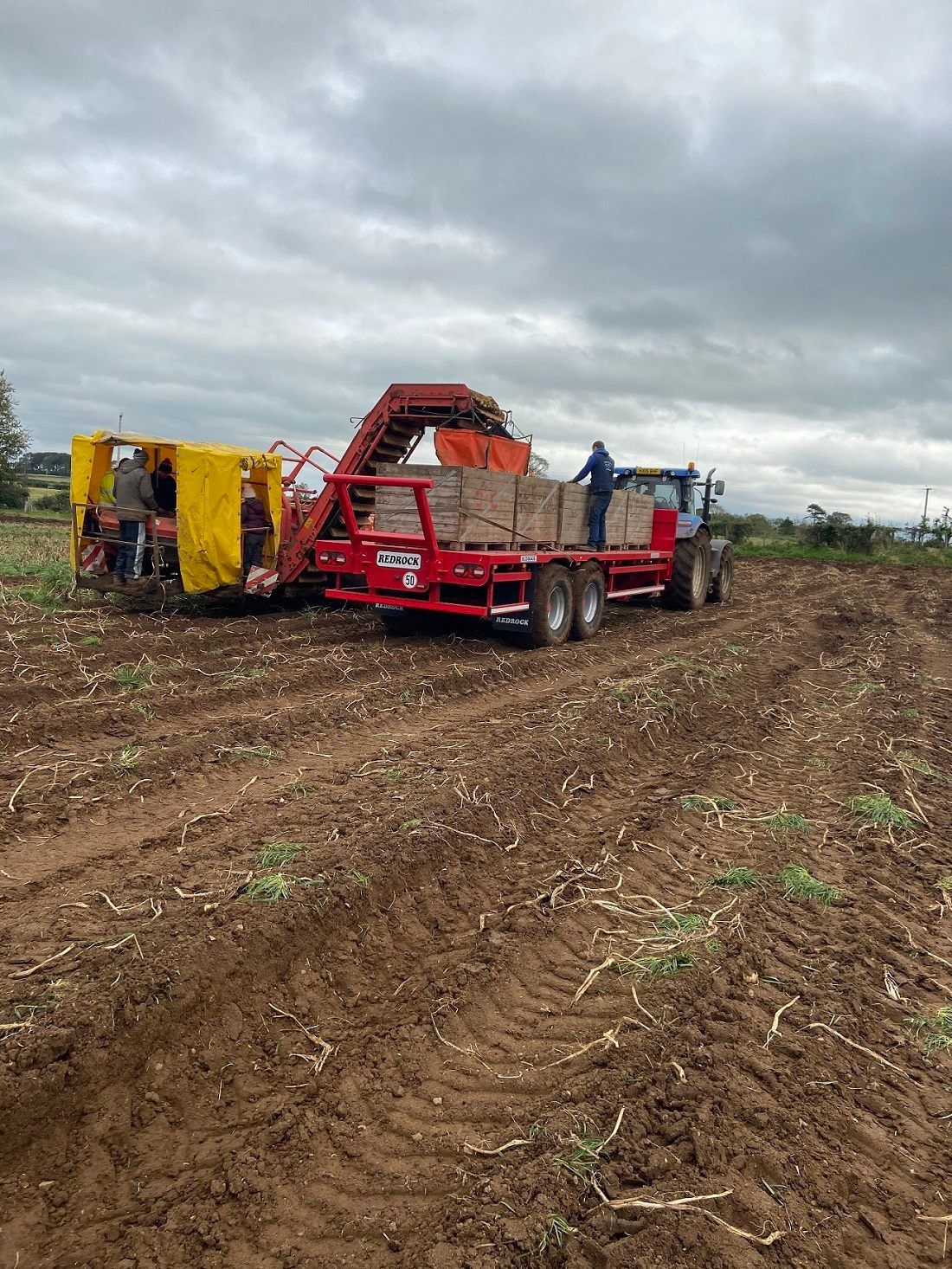 'Attention to detail is important' as potato harvest gets into full swing
