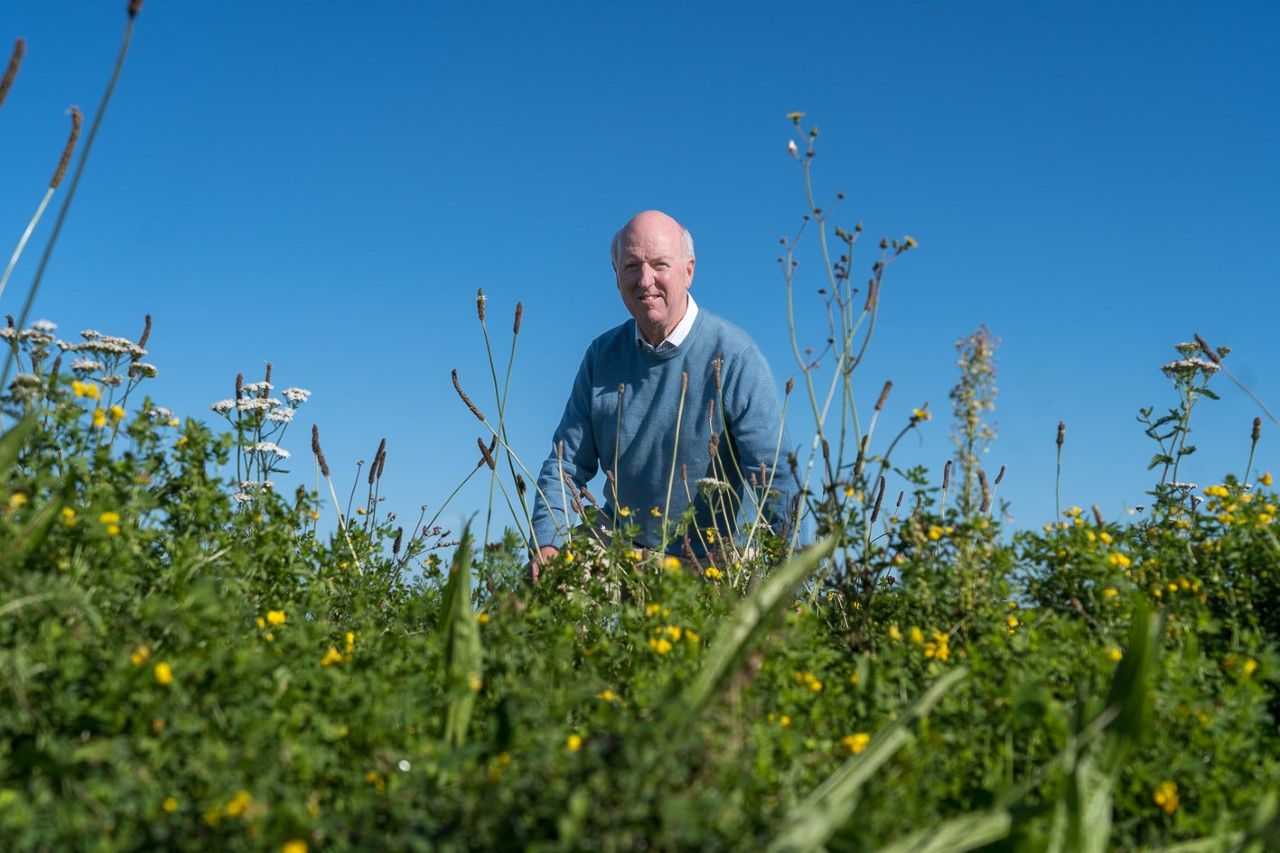 TGA joins turf grower in call for plastic-free turf
