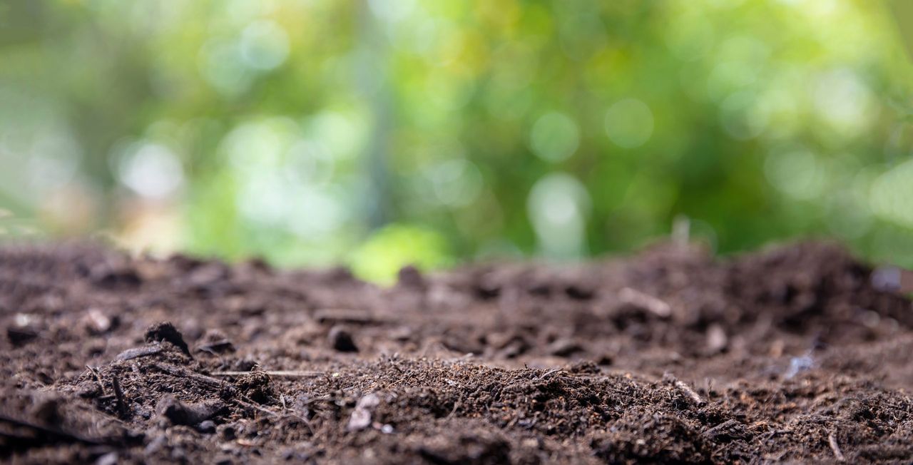 Final phase of NI Soil Nutrient Health Scheme to open this summer