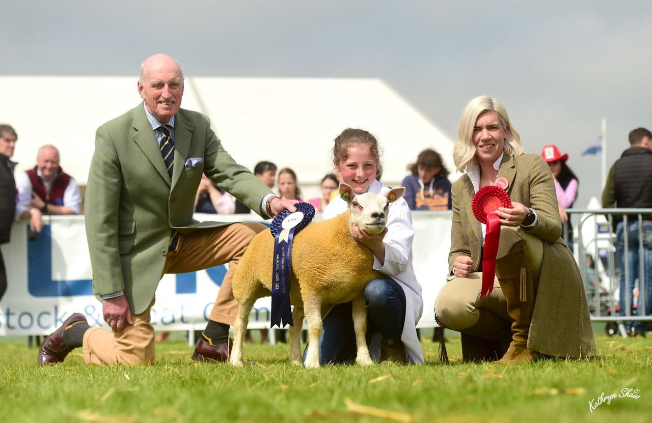 New Board appointed to Livestock and Meat Commission