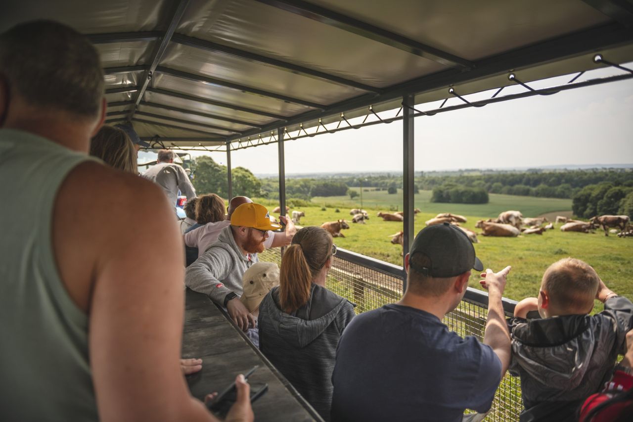 Open Farm Sunday presents 'huge opportunity' for participating farmers