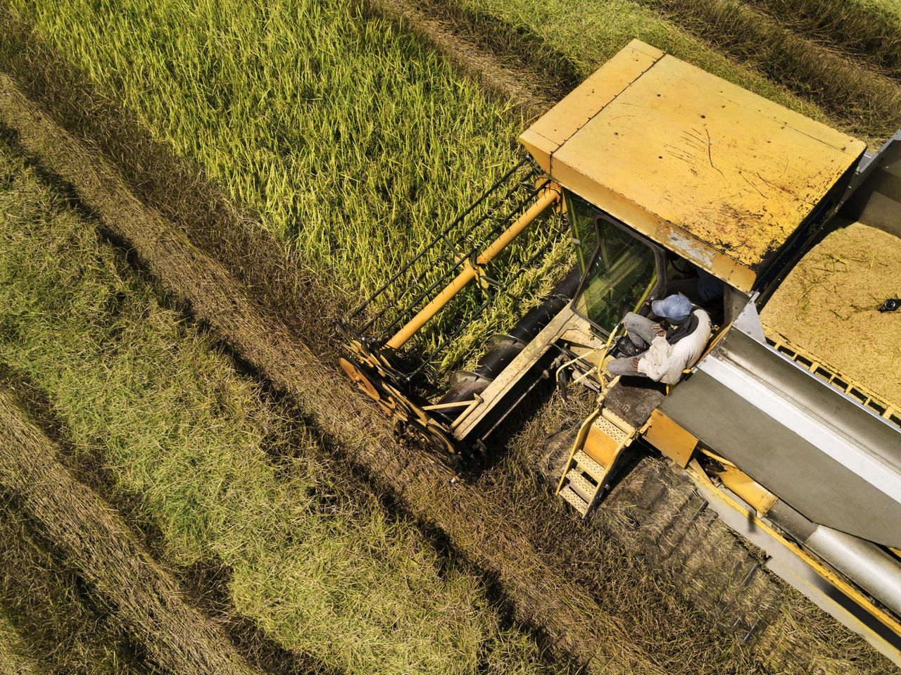 Bayer joins pledge to end world hunger