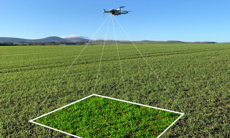 Drone crop scouting app to be demonstrated at Cereals for the first time