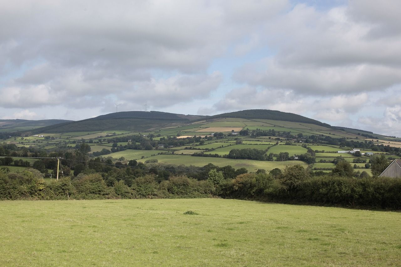 Tánaiste launches new Shared Island Project for rural communities