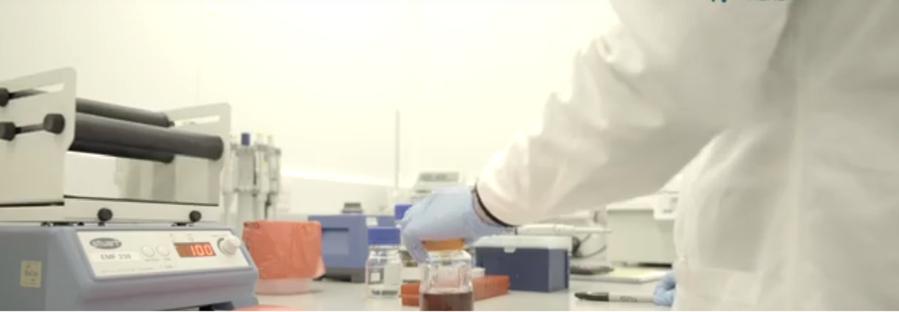 Grant awarded to develop a multiplex rapid test for mastitis