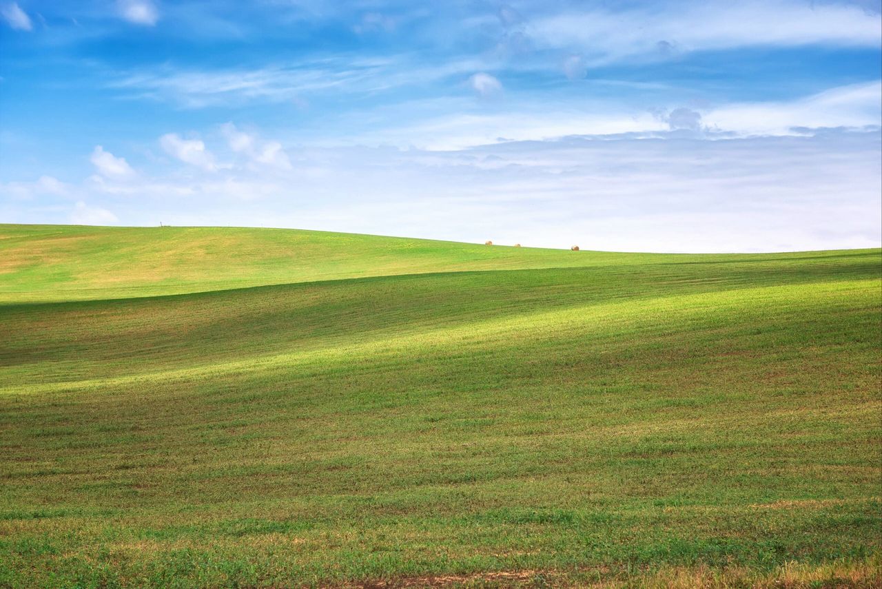 Sustainable livestock farming to be a key focus at Future Grassland 2026