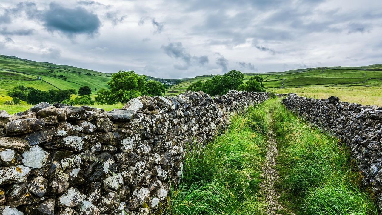 Defra opens first SFI application window with £60m budget