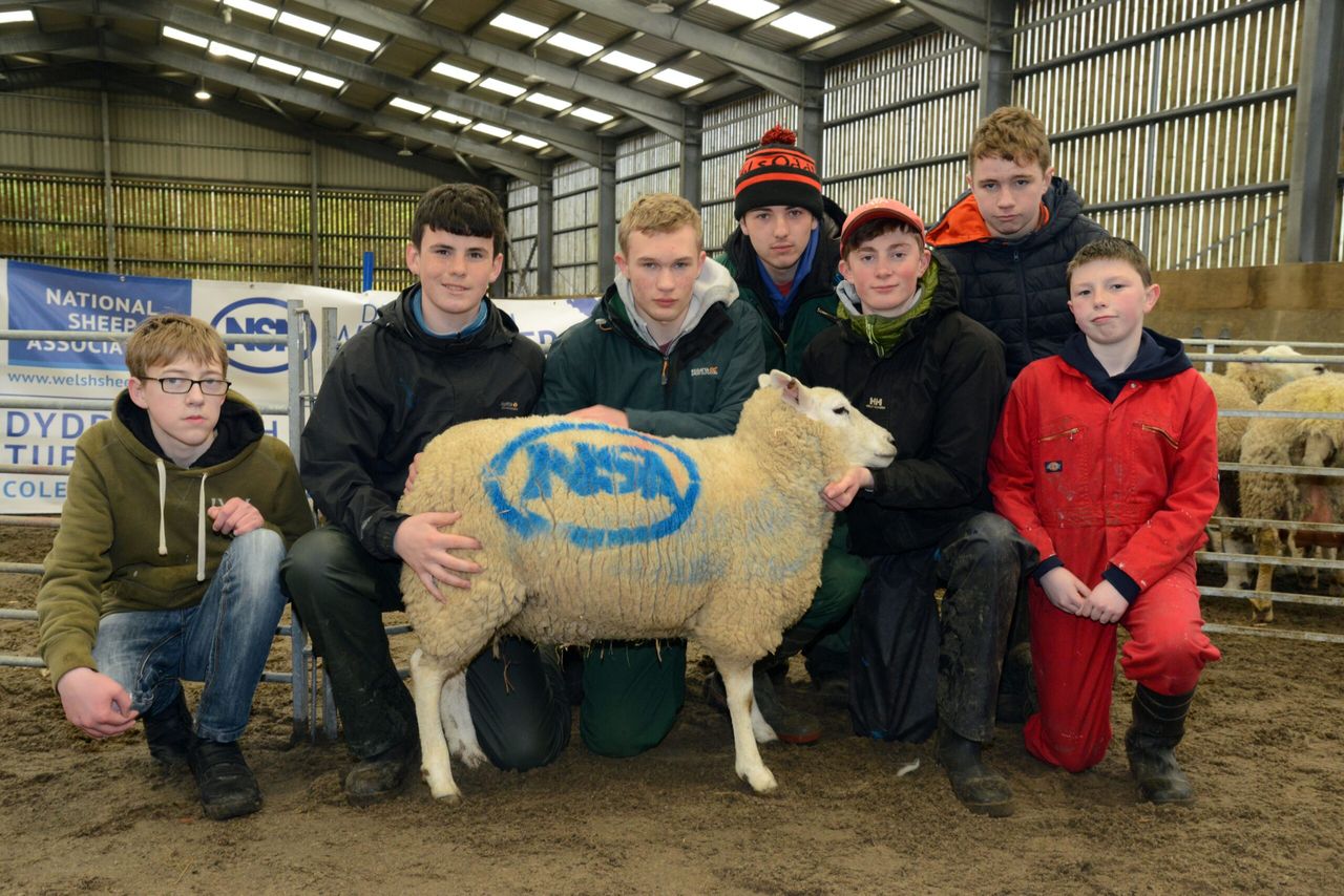 HCC to showcase £9.2 million red meat project at NSA event
