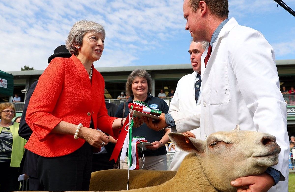 May departure: Farming's reaction to PM's resignation