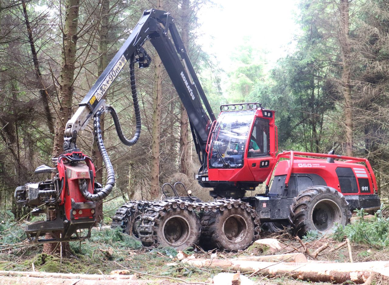 Pics: Laois brothers cut their teeth in forestry business with monstrous machines