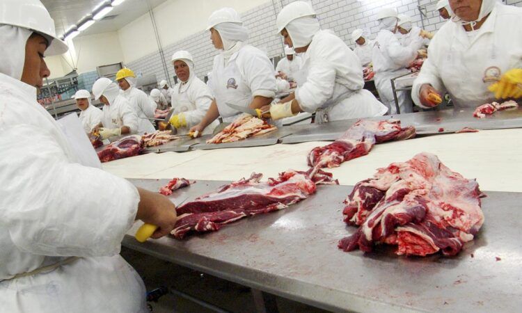 Meat Business Women receives backing from 12 new sponsors