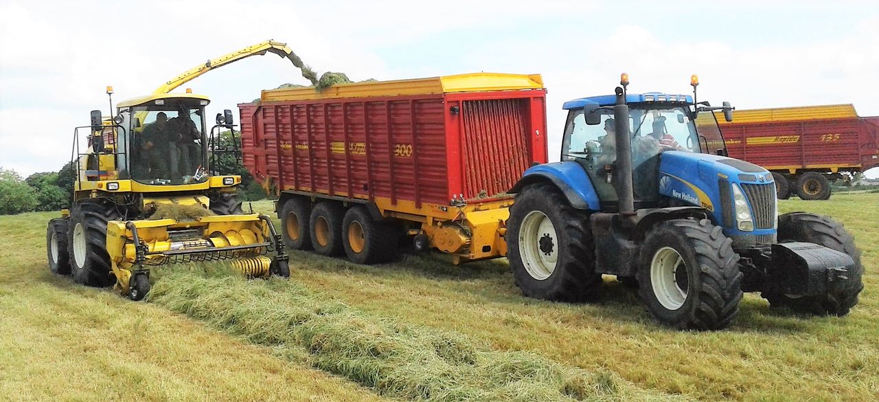 Pics: Army of wagons and a truck tackle silage in the midlands