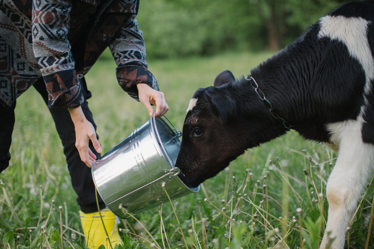 Trouw Nutrition unveils Ireland ‘operational and delivery model’