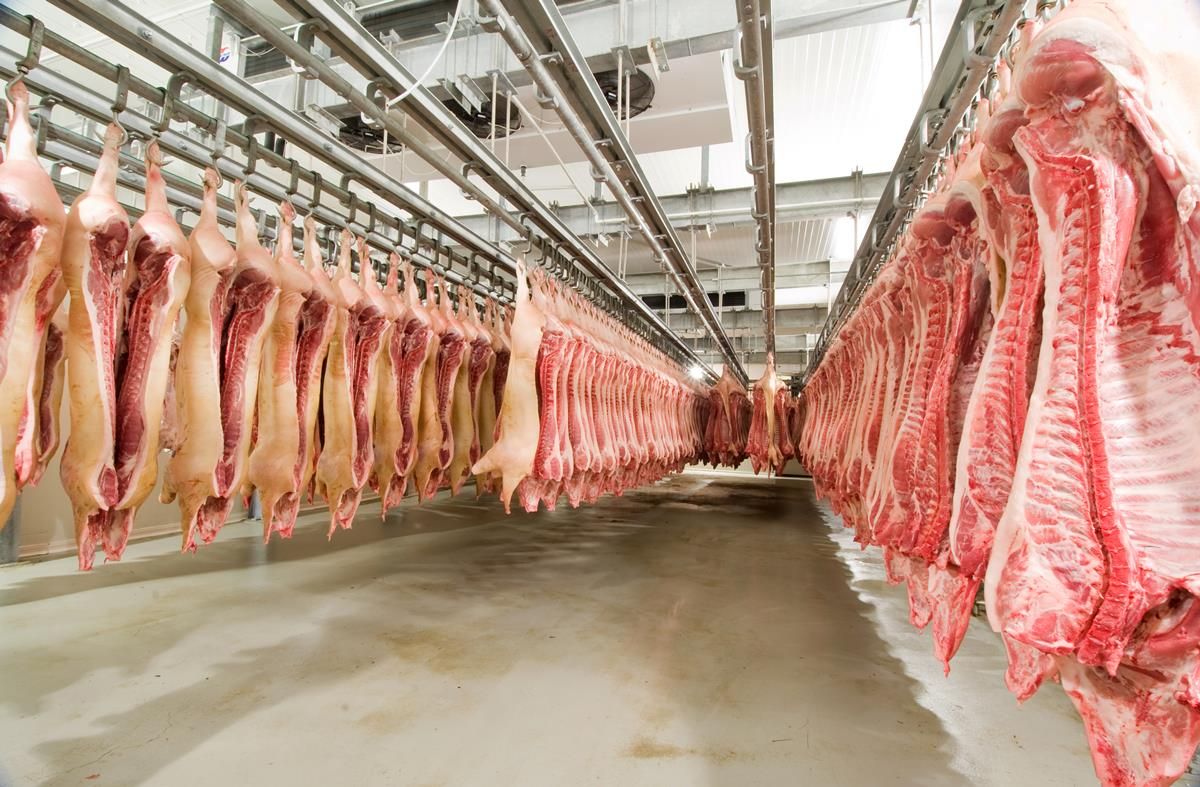 Abattoir closures will leave farmers with 'nowhere to go'