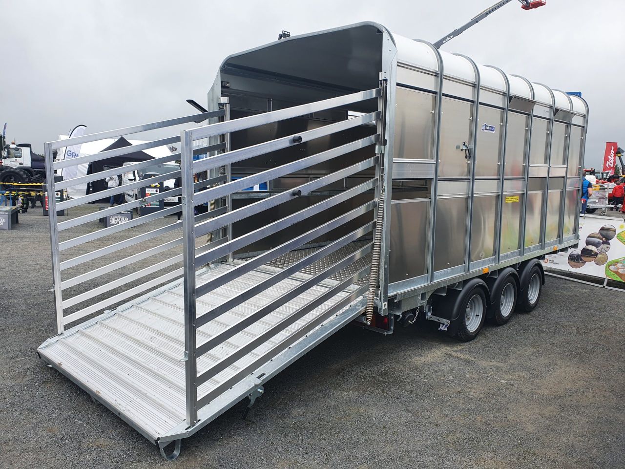 DAERA issues advice on new BVD requirements for cattle moving south