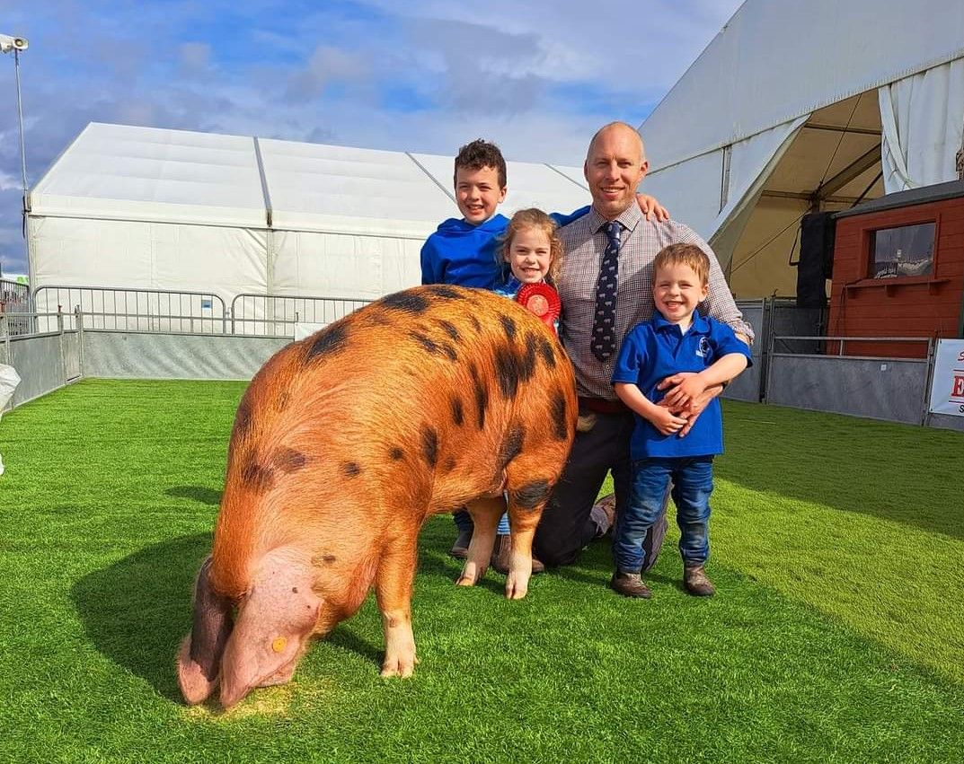 Focus: Pedigree pork on a Co. Down farm