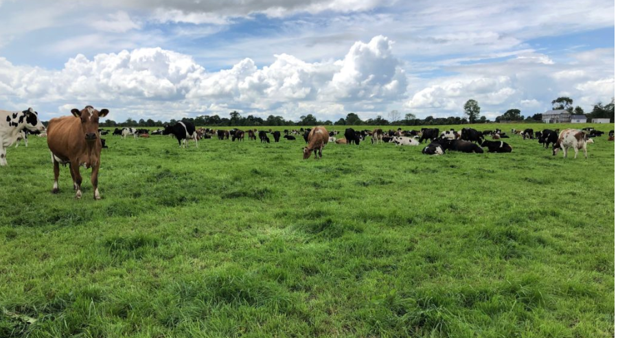 Time to put a plan in place for the breeding season…if you haven’t done so already