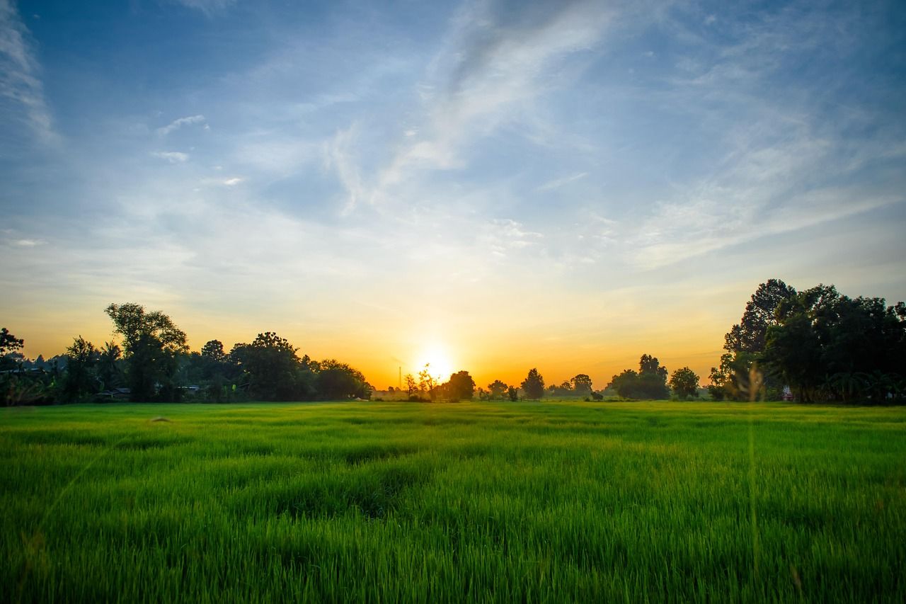 DAERA: Funding available for sustainability research in NI