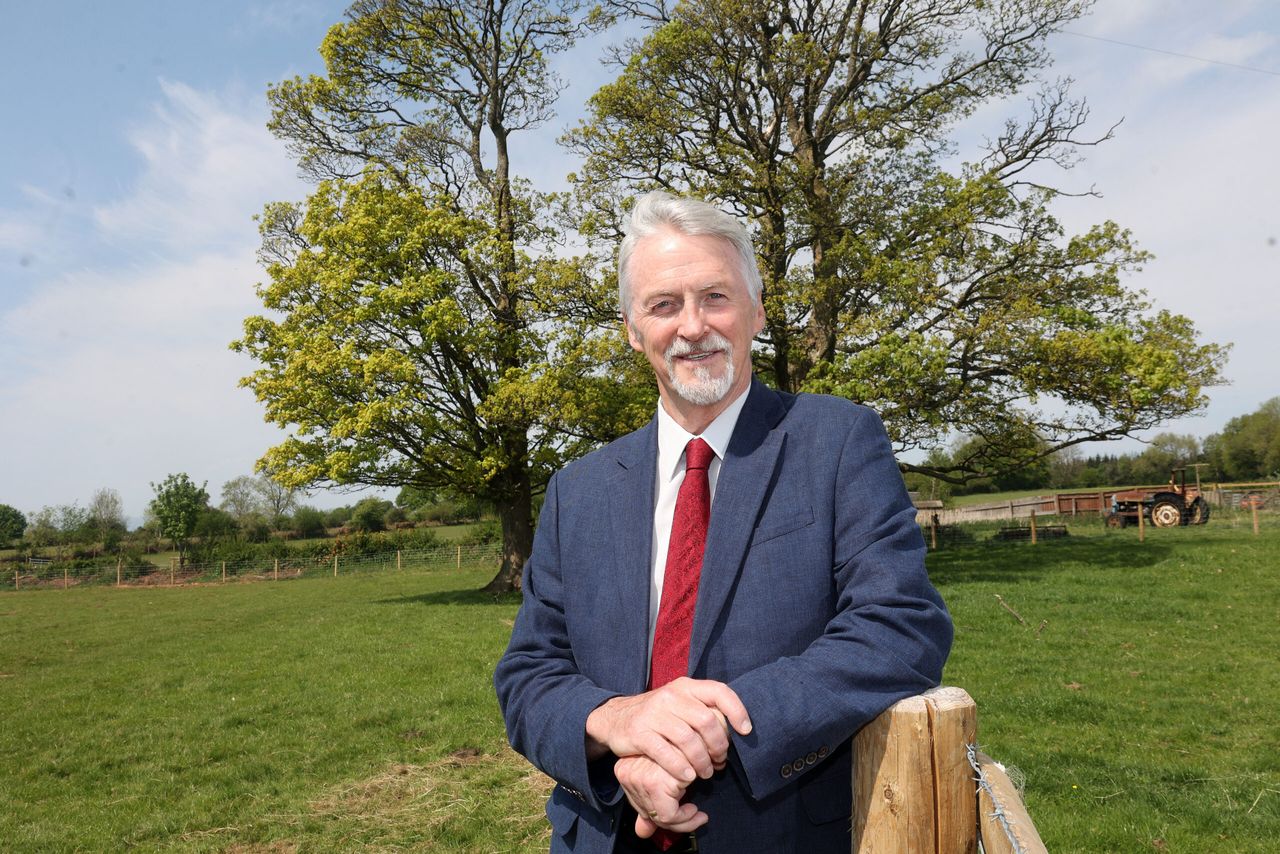 Welsh government announces 'enhanced grants' for early tree planting