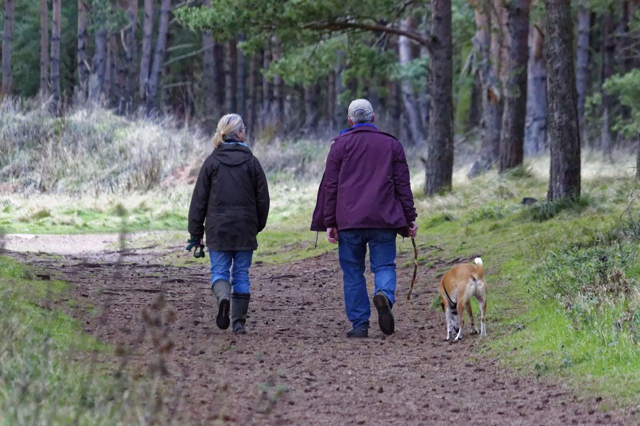 Dog owners urged to protect wildlife and livestock