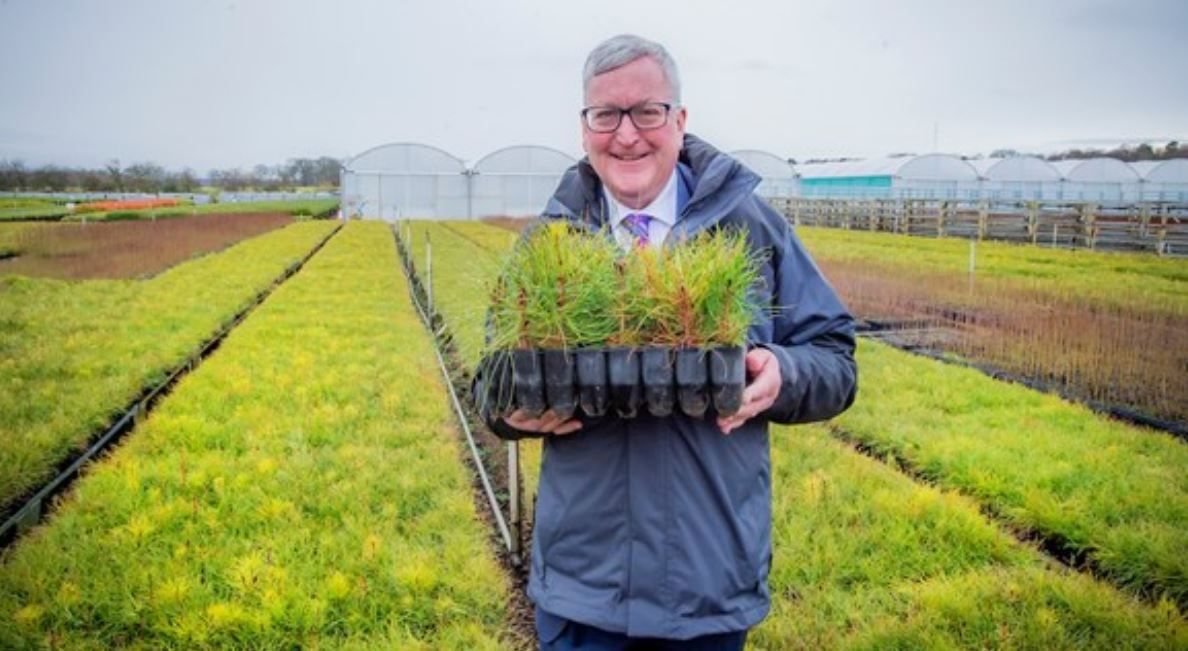 £2 million fund to grow Scottish forestry and farm businesses