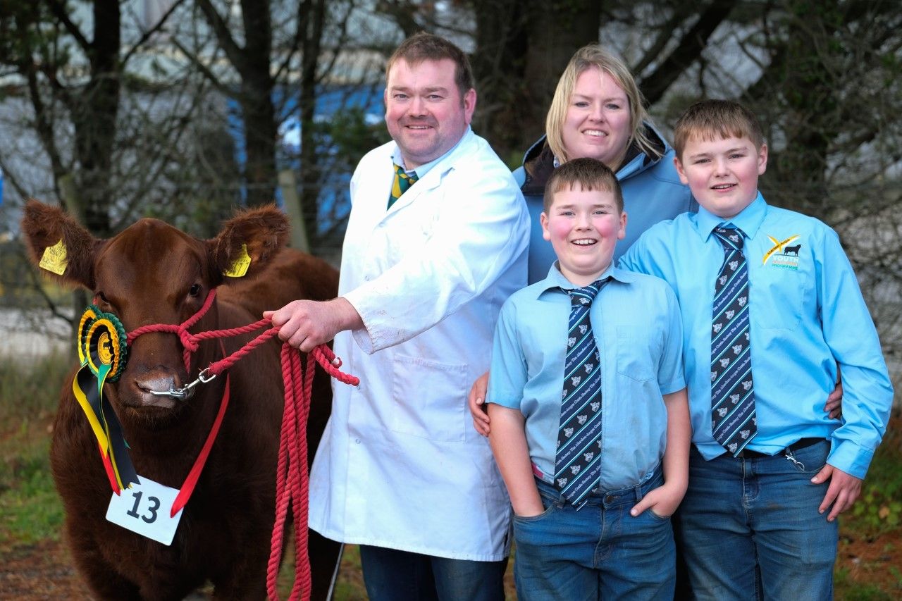 Red Aberdeen Angus cattle: Demand to produce smaller calves
