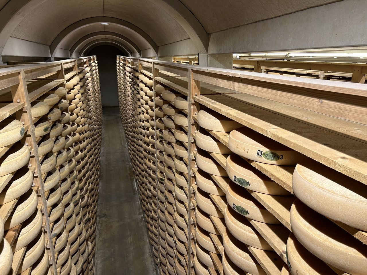 Watch: Comté cheese taste testing in a 100,000 wheel cellar