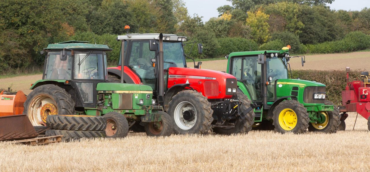 Auction report: On-farm sale sees ‘greens’ and ‘reds’ change hands