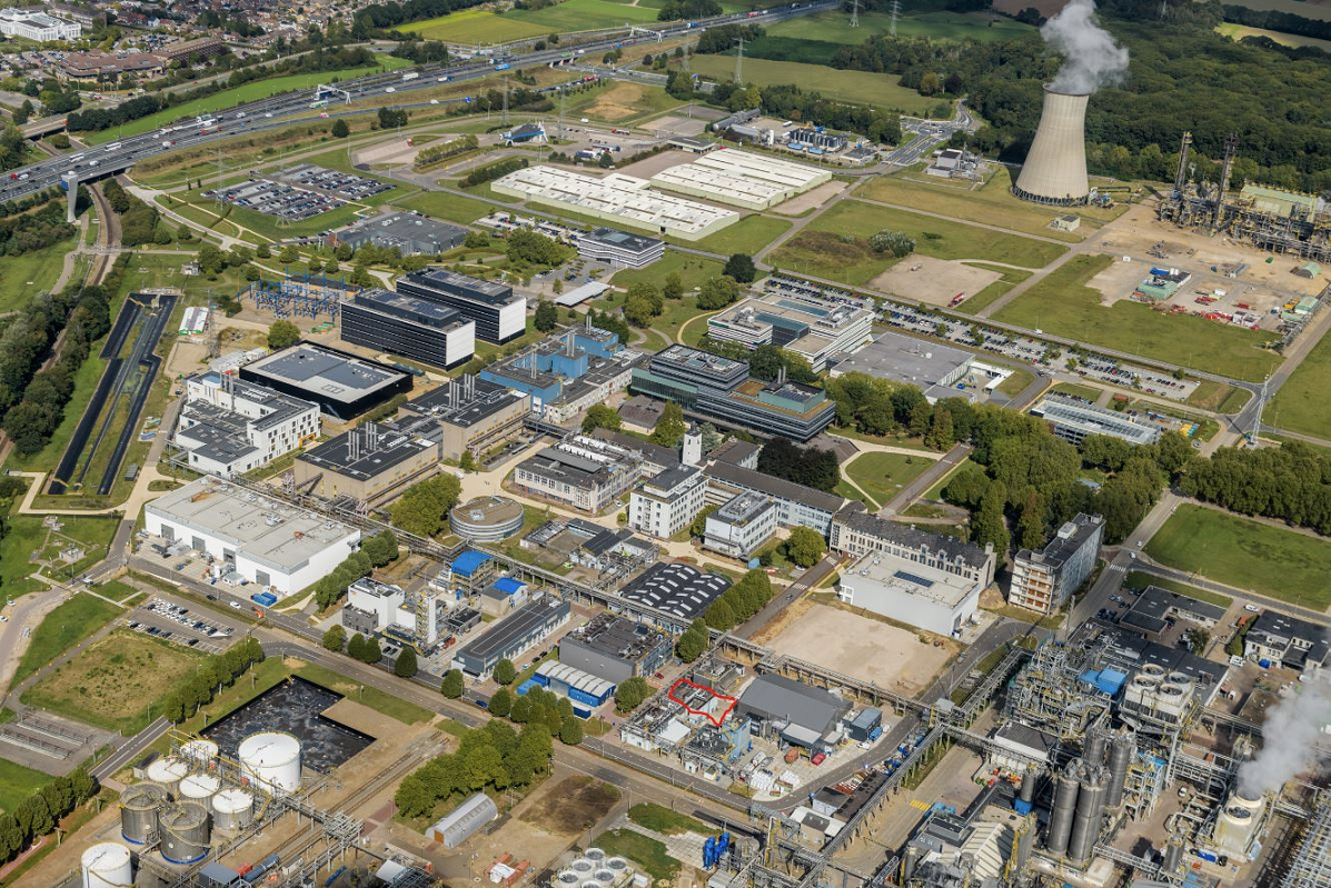 Animal feed made from recycled carbon secures £2.2 million funding