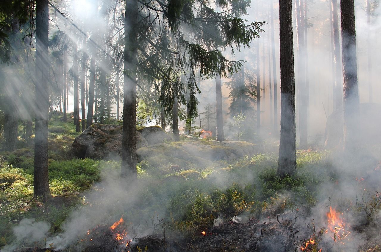 Burnley farmer faces £1,000 fine for illegal burning
