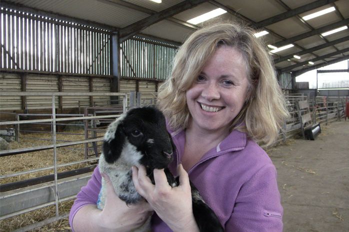 Scotland's Animal Welfare Commission named