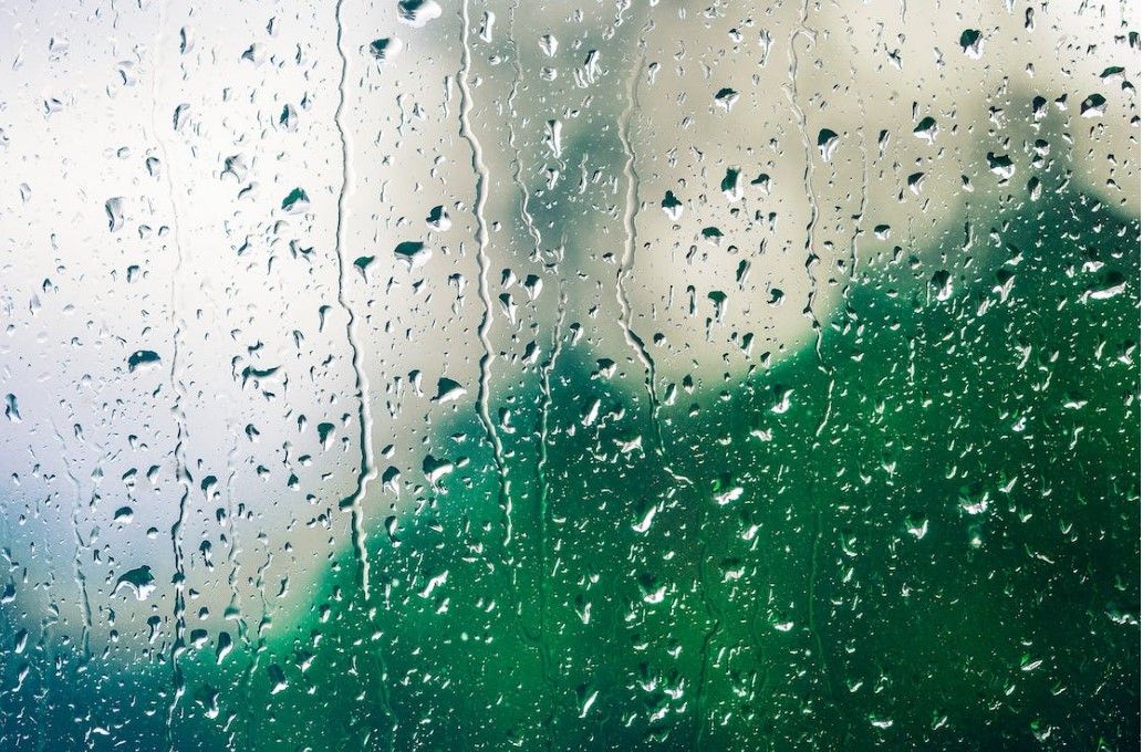 ‘Unrelenting’ wet weather means continued financial pressure for farmers – MP