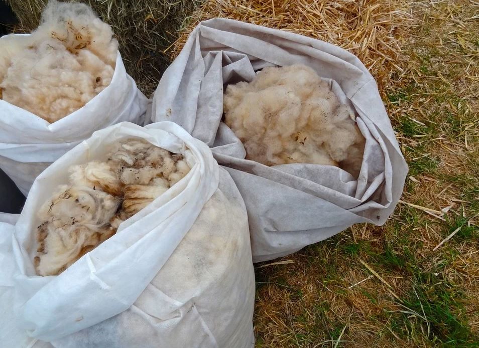NI’s £1.2 million Covid-19 wool support scheme opens