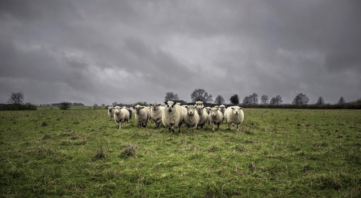 Storm Ciara: Amber and yellow warnings in force across the UK