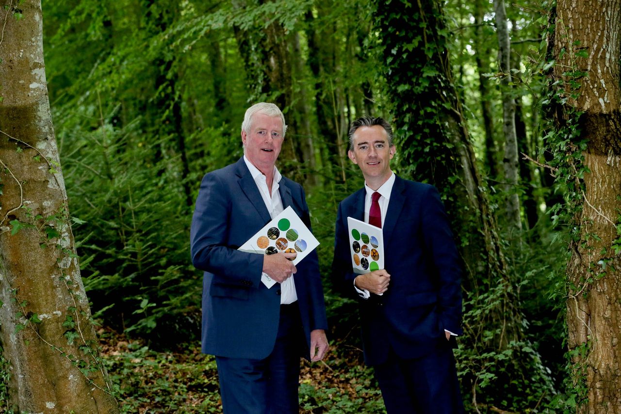 Coillte announces 46% growth in operating profit to €60.5m