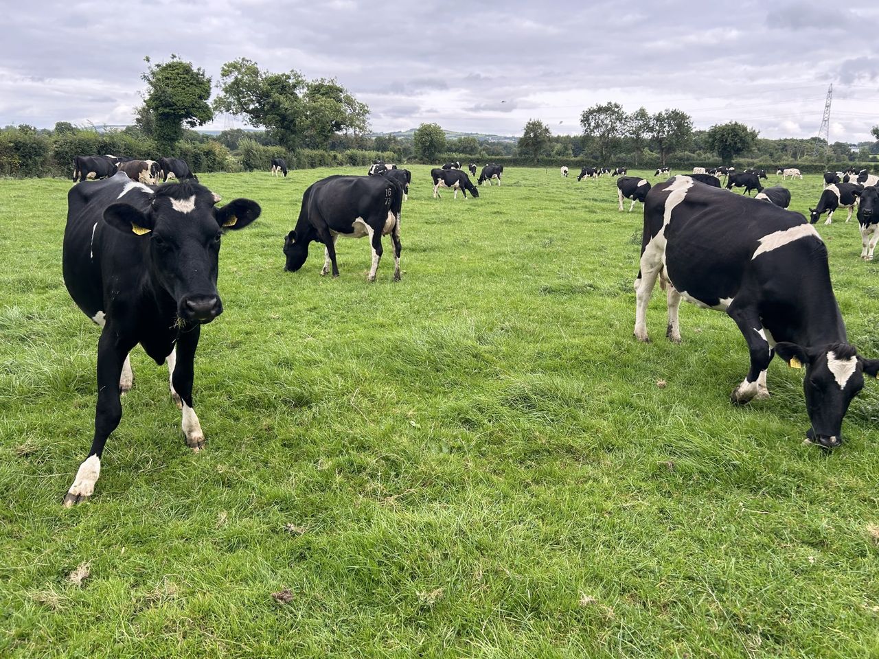 Prepare a nutrient management plan for the new season