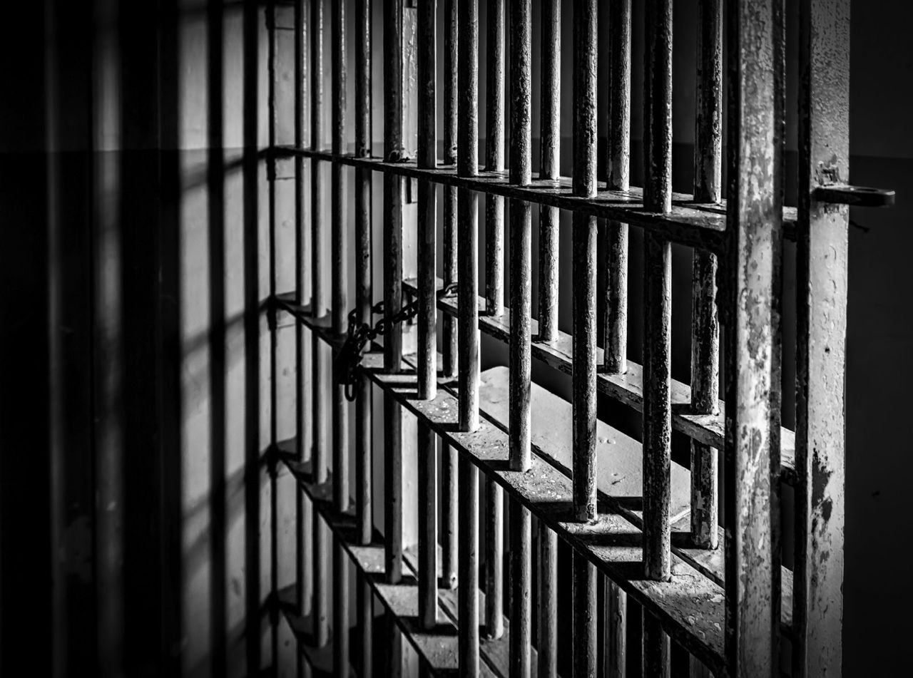 Farmer pleads guilty at Tyrone court in relation to animal welfare offences