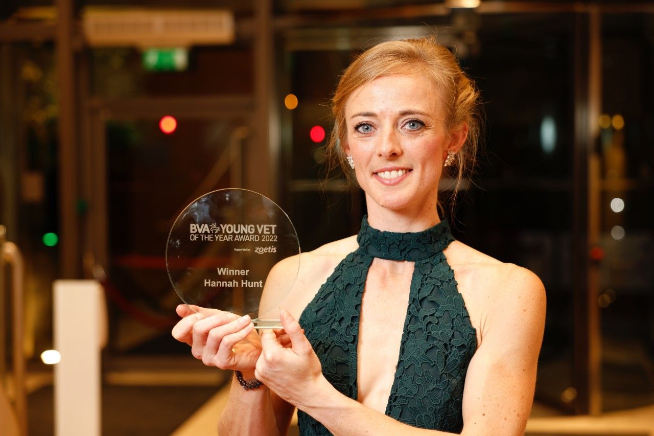 Nominations open for British Veterinary Association Awards