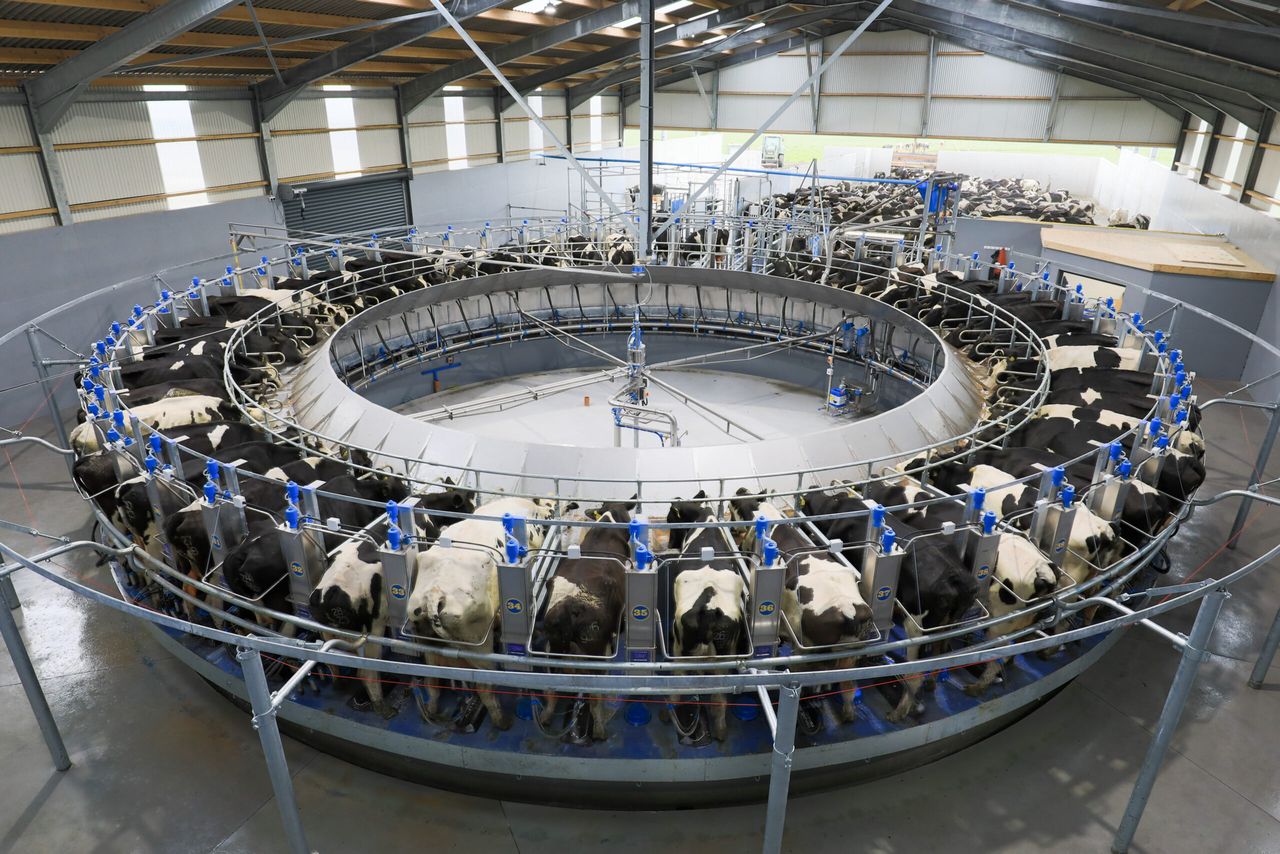 GDT: Slight increase continues positive trend