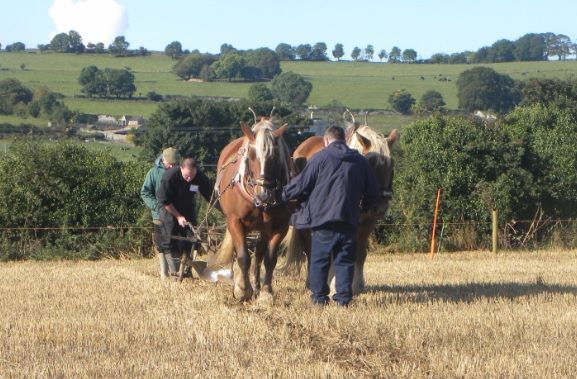 National Ploughing Championships heads to Offaly for 2016
